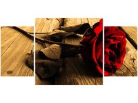 product-compare-58644091