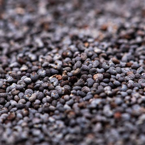 Mak niebieski 1kg na Arena.pl