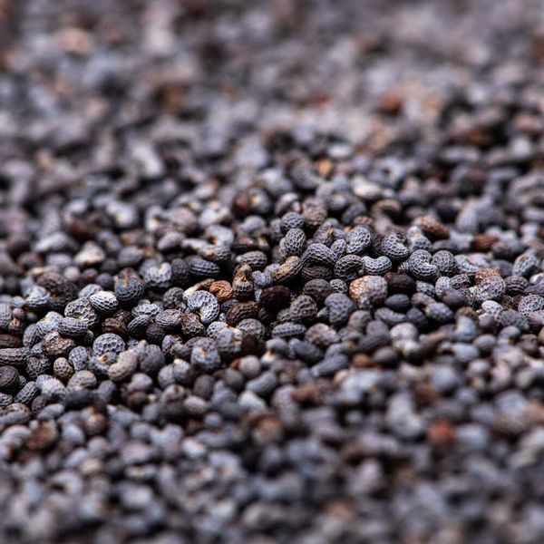 Mak niebieski 1kg zdjęcie 3