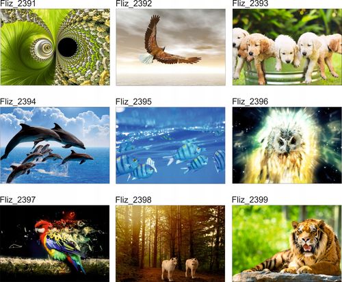 FOTOTAPETA JEDNOROŻCE LAS NATURA na Arena.pl