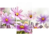 product-compare-58645880