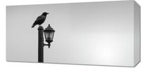 Obraz 60x30cm Samotny Postój Kruka