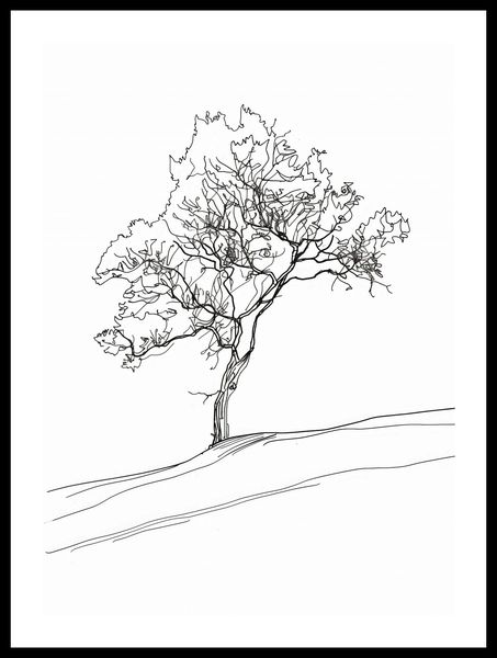 Plakat 39,5x55cm Drzewo w Zarysie zdjęcie 3