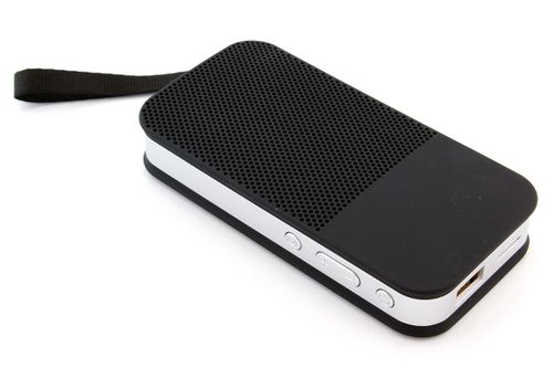 ZS31B Przenośny głośnik bluetooth na Arena.pl