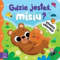 OTWÓRZ OKIENKO MISIU