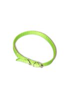 A-009 OBROŻA DLA PSA TAŚMA 16MM/30-41CM Kolor - Seledynowy