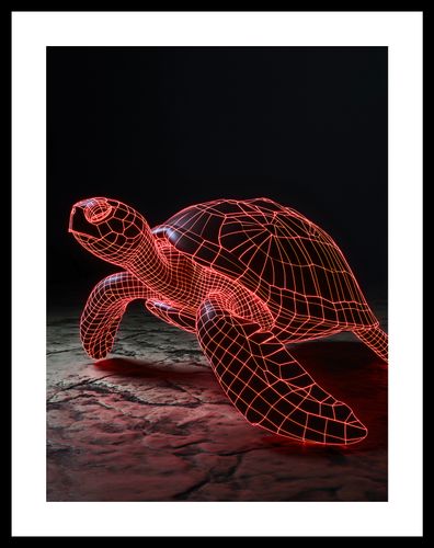 Plakat 30x40cm Neonowy Żółw na Arena.pl