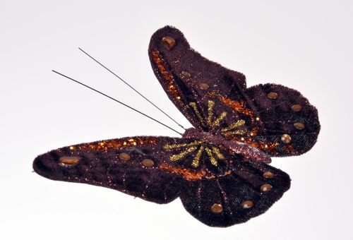 Motyl Klips 17 cm # na Arena.pl