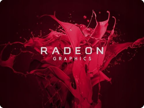 Laptop HP 255 G10 Ryzen 5 7530U 16GB RAM SSD 1000GB 15,6' FHD IPS W11 na Arena.pl