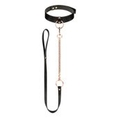 rosy gold   collar with leash   black