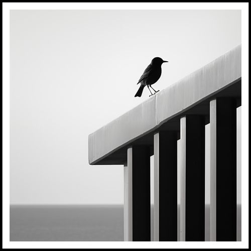 Plakat 100x100cm Samotna Odchłań na Arena.pl