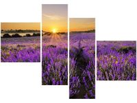 100 70CM OBRAZ 4 ELEM POLE LAWENDY DRUK PŁÓTNO RAMA