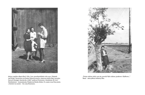 Kamienie Na Szaniec na Arena.pl