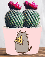 Doniczka do kwiatów/roślin - Pusheen - Kotek
