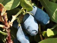 product-compare-57851216