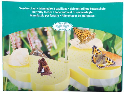 Karmnik dla motyli na Arena.pl