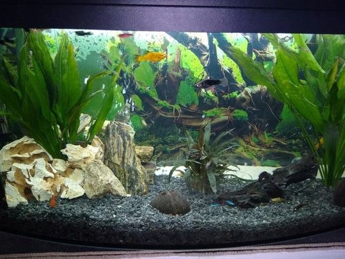 LAWA LAWA WULKANICZNA 2-8 mm 25 kg ŻWIREK AKWARIUM NA DNO na Arena.pl