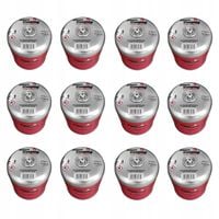 12x kartusz gazowy z gwintem 450g Alpen Camping do KUCHENKI TURYSTYCZNEJ