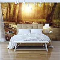 Fototapeta - Słoneczny nurt 350x245