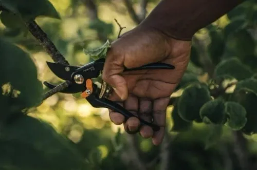 FISKARS SEKATOR NOŻYCOWY METALOWY OGRODOWY OSTRY DO MŁODYCH GAŁĘZI P131 na Arena.pl