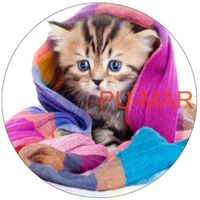 Opłatek na tort KOT Kotek Kotki Kiciuś Kocur Miluśiński Tekst Gratis