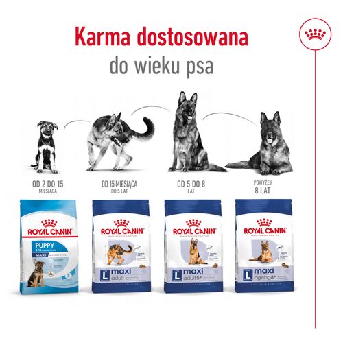 royal canin maxi ageing 8+ 15kg na Arena.pl