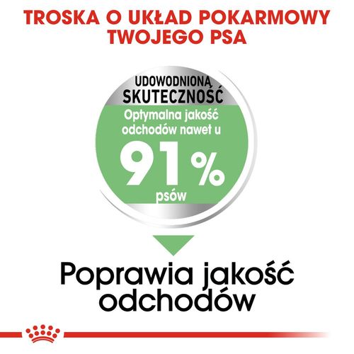 royal canin ccn medium digestive care 3kg na Arena.pl