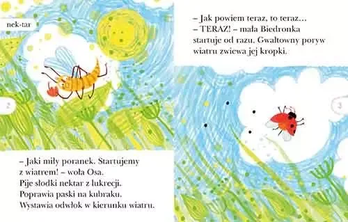 Czytam Sobie. Poziom 2. Letni Koncert na Arena.pl