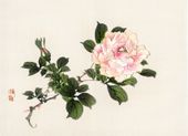 Plakat 55x40cm Pink Rose 2, Kōno Bairei Japoński Vintage do Salonu