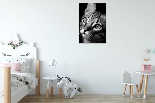 Obraz Do Kuchni 40X60 Spojrzenie - Visualpanic na Arena.pl