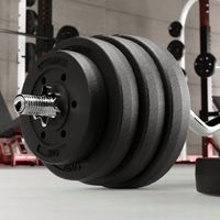 Obciążenie bitumiczne zestaw obciążeń 4x5kg 20kg 31mm talerze Rebel