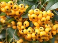 product-compare-61065633