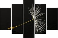 100CM 150CM OBRAZ 5 ELEM DMUCHAWCE LATAWCE ŚCIENNY