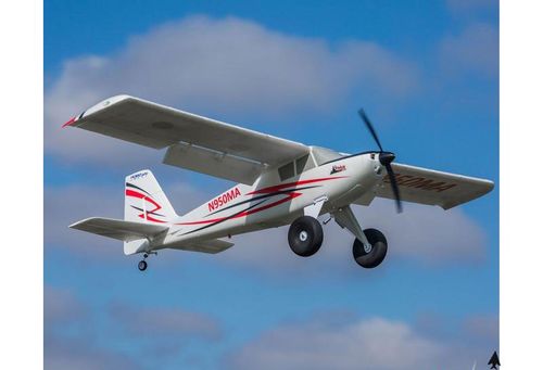 Timber PNP na Arena.pl