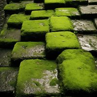 Plakat 40x40cm Zielona Mozaika