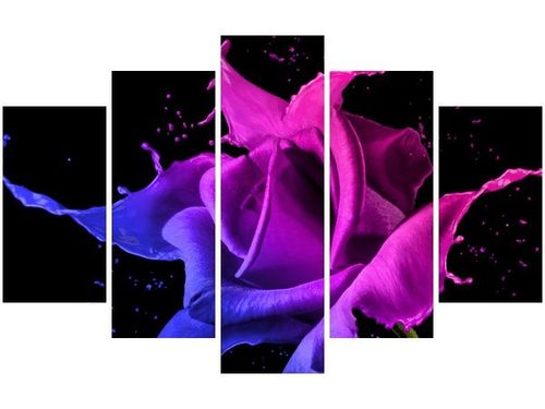 70 100CM OBRAZ 5 ELEM RÓŻA FARB JAKUB BANAŚ DRUK PŁÓTNO na Arena.pl