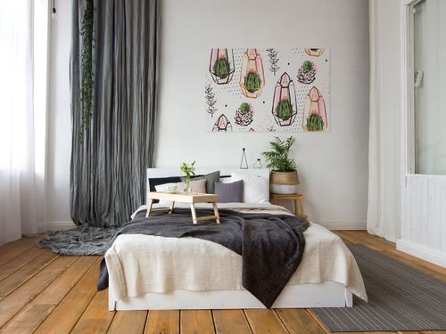 61601 Obraz na płótnie SUKULENTY ROŚLINY MODNY na Arena.pl