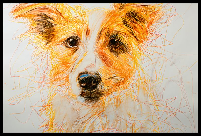 Plakat 60x40cm Uroczy Gość zdjęcie 2