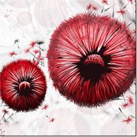 product-compare-58657480