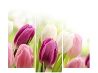 product-compare-58708025