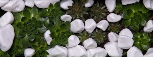 KAMIEŃ BIAŁY THASSOS OTOCZAK GRECKI DO OGRODU DEKORACYJNY 2-4cm 20kg na Arena.pl