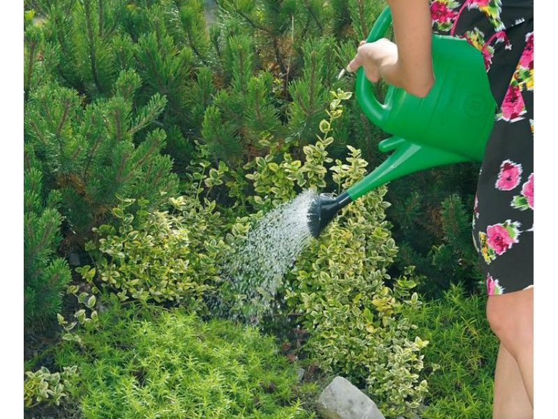 Konewka SPRING IKSP14 14l Podlewaczka do roślin zdjęcie 2