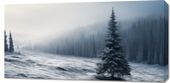 Obraz 100x50cm Samotna Choinka