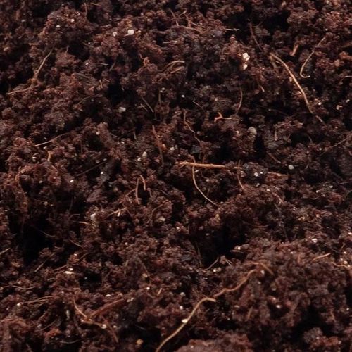 Podłoże dla ślimaków 5L na Arena.pl