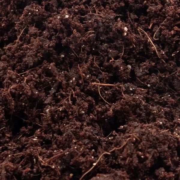 Podłoże dla ślimaków 5L zdjęcie 4