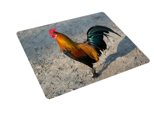 Podkładka pod myszkę Kury na Arena.pl