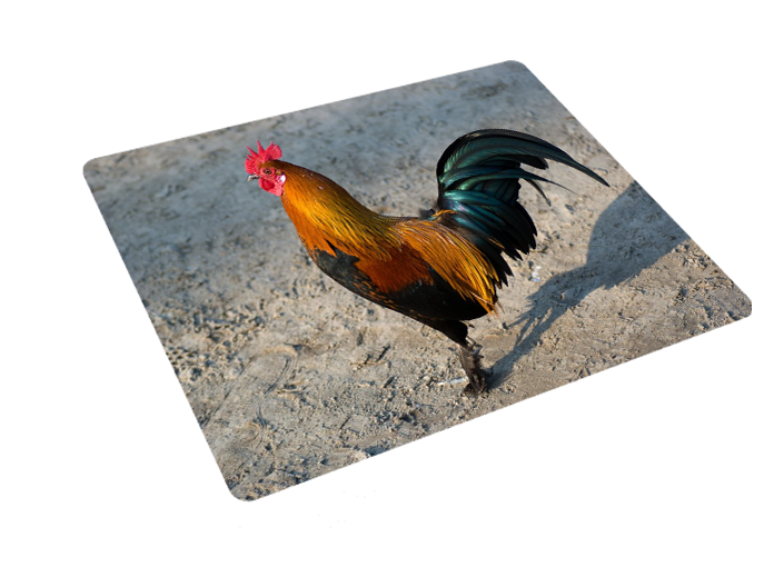 Podkładka pod myszkę Kury zdjęcie 3