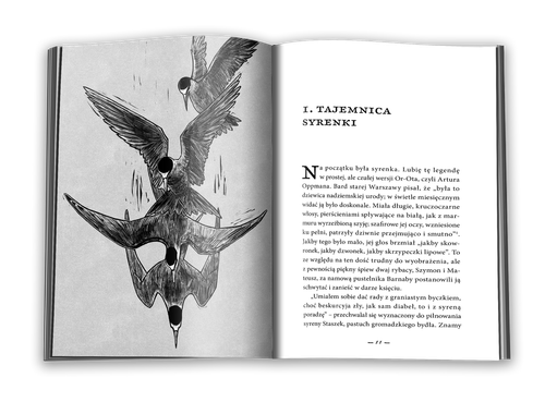 Drugie życie Czarnego Kota na Arena.pl