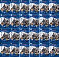 Super Benek Sterilised saszetki 24x100g