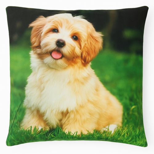 Poszewka Dekoracyjna 45x45 Zwierzęta Koty Psy - Miękka, Welurowa WZORY na Arena.pl